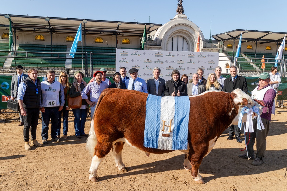 milei hereford gran campéon