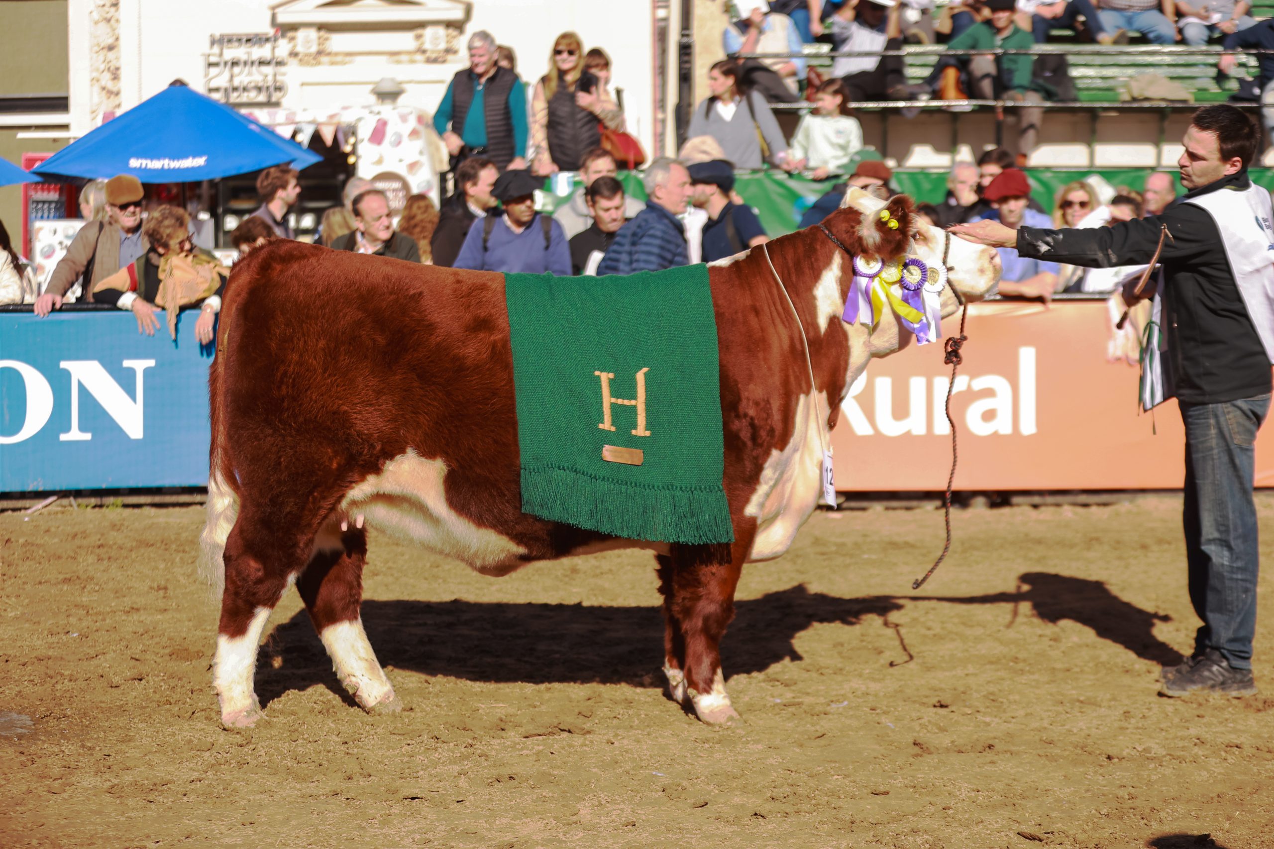 RESERVADA GRAN CAMPEONA HEMBRA-2 palermo