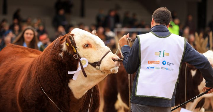 hereford la rural